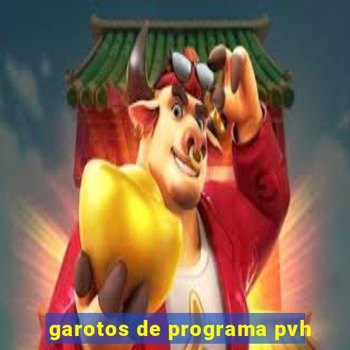 garotos de programa pvh